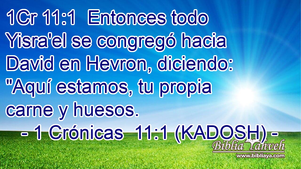  Entonces todo Yisra'el se congregó hacia David en Hevron, diciendo: 