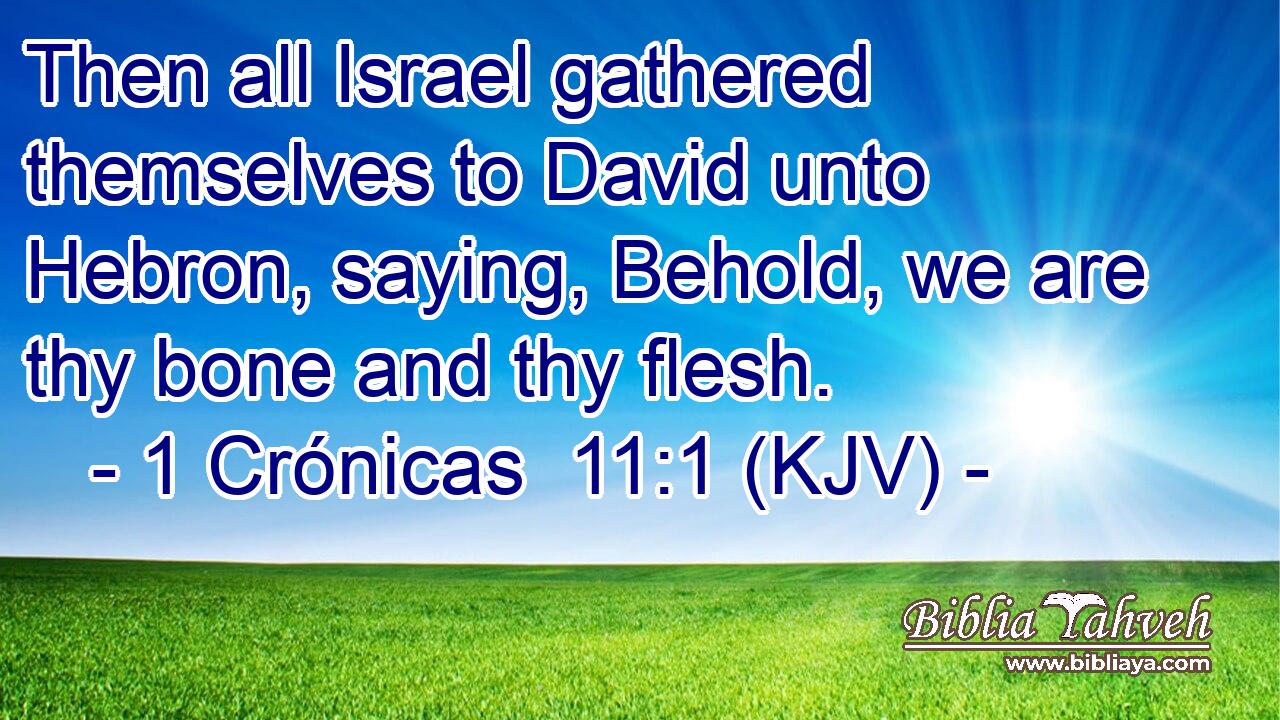 Then all Israel gathered themselves to David unto Hebron, saying, Behold, we are thy bone and thy flesh.