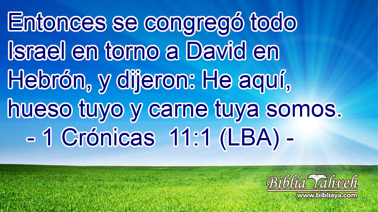 Entonces se congregó todo Israel en torno a David en Hebrón, y dijeron: He aquí, hueso tuyo y carne tuya somos.