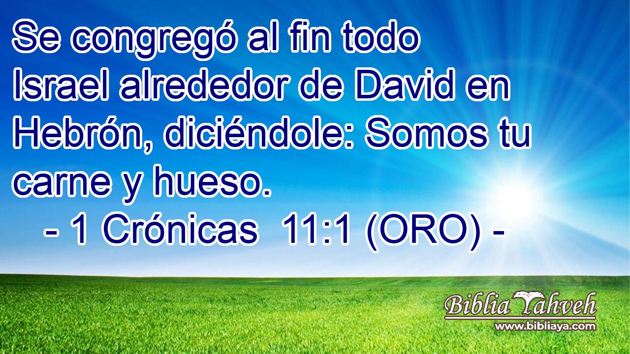  Se congregó al fin todo Israel alrededor de David en Hebrón, diciéndole: Somos tu carne y hueso. 
