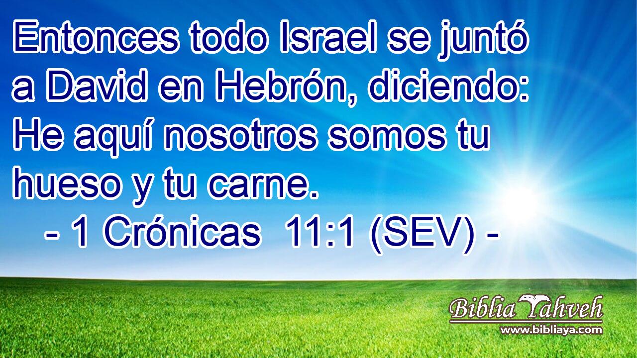 Entonces todo Israel se juntó a David en Hebrón, diciendo: He aquí nosotros somos tu hueso y tu carne.
