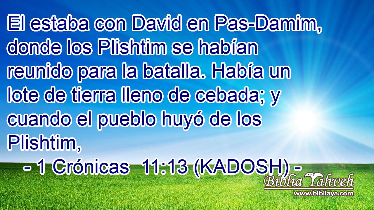  El estaba con David en Pas-Damim, donde los Plishtim se habían reunido para la batalla. Había un lote de tierra lleno de cebada; y cuando el pueblo huyó de los Plishtim, 