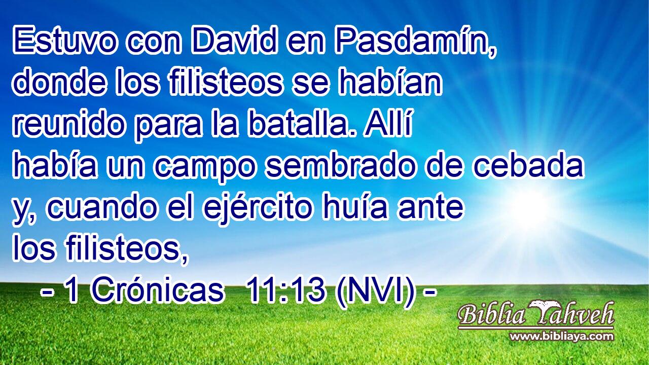  Estuvo con David en Pasdamín, donde los filisteos se habían reunido para la batalla. Allí había un campo sembrado de cebada y, cuando el ejército huía ante los filisteos, 
