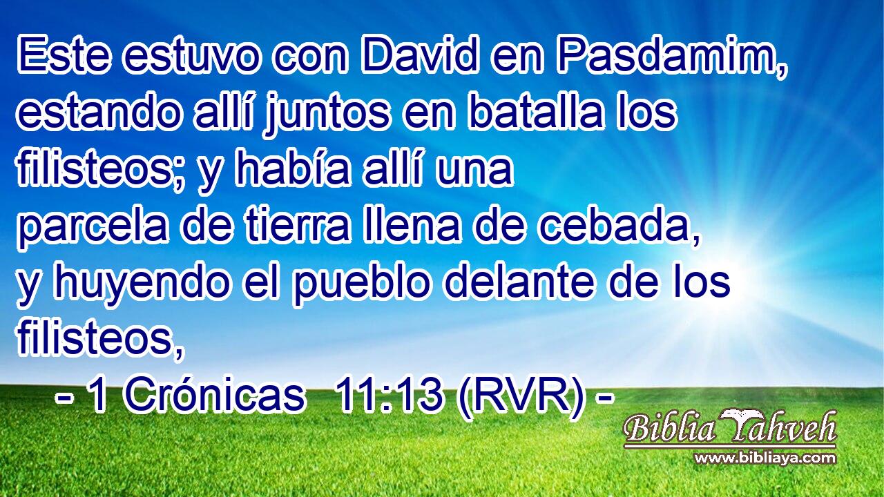 Este estuvo con David en Pasdamim, estando allí juntos en batalla los filisteos; y había allí una parcela de tierra llena de cebada, y huyendo el pueblo delante de los filisteos,