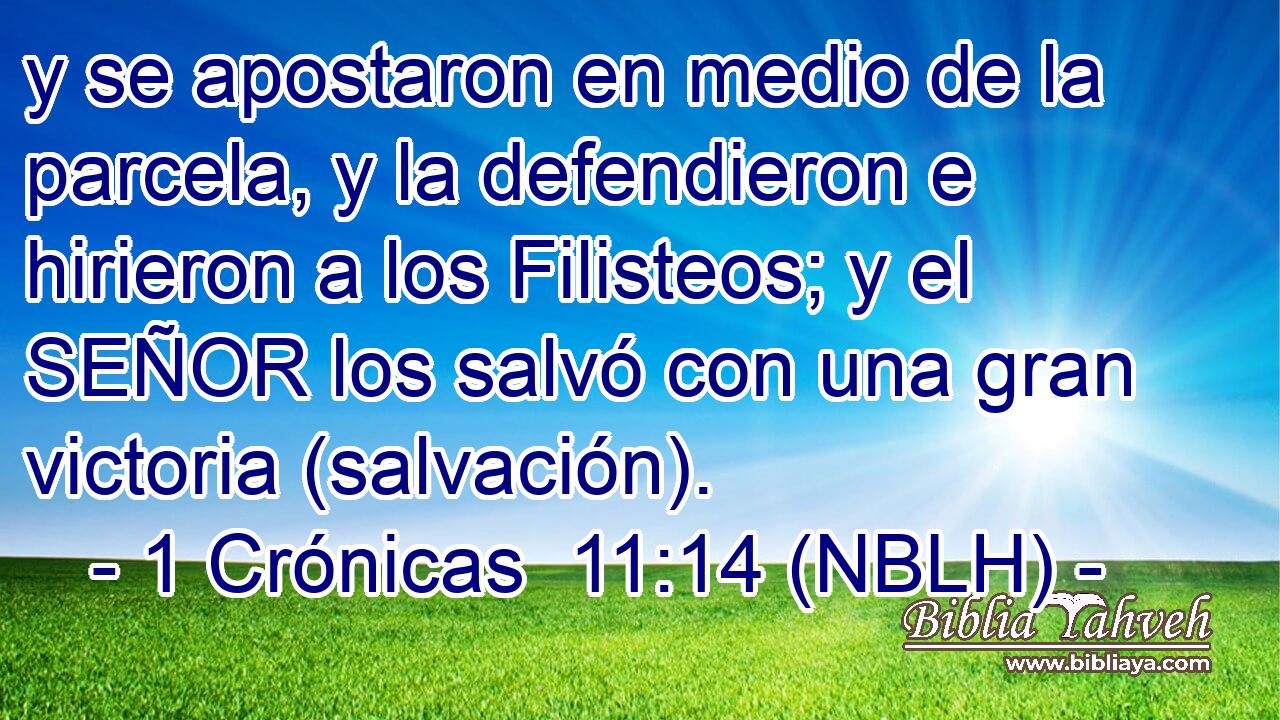  y se apostaron en medio de la parcela, y la defendieron e hirieron a los Filisteos; y el SEÑOR los salvó con una gran victoria (salvación). 