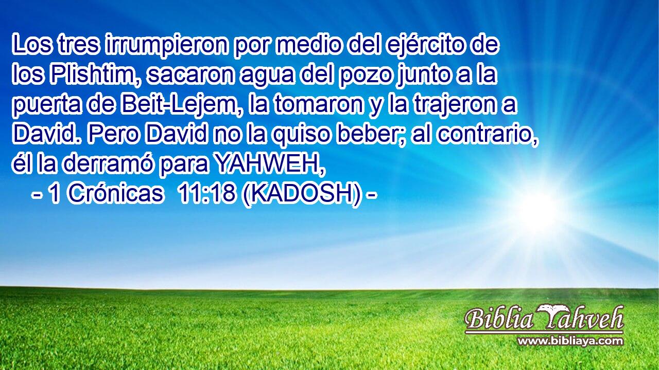  Los tres irrumpieron por medio del ejército de los Plishtim, sacaron agua del pozo junto a la puerta de Beit-Lejem, la tomaron y la trajeron a David. Pero David no la quiso beber; al contrario, él la derramó para YAHWEH, 