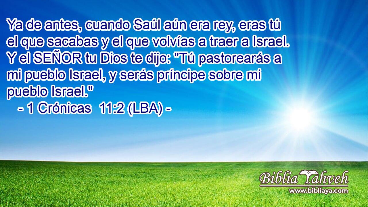 Ya de antes, cuando Saúl aún era rey, eras tú el que sacabas y el que volvías a traer a Israel. Y el SEÑOR tu Dios te dijo: 