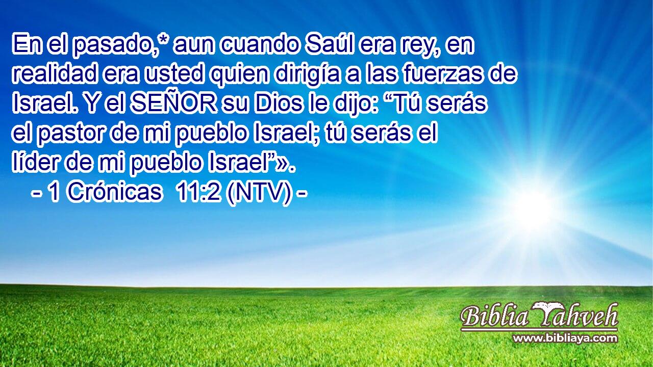 En el pasado,* aun cuando Saúl era rey, en realidad era usted quien dirigía a las fuerzas de Israel. Y el SEÑOR su Dios le dijo: “Tú serás el pastor de mi pueblo Israel; tú serás el líder de mi pueblo Israel”».