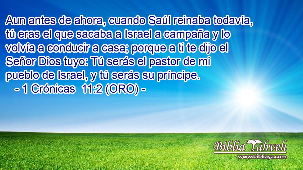  Aun antes de ahora, cuando Saúl reinaba todavía, tú eras el que sacaba a Israel a campaña y lo volvía a conducir a casa; porque a ti te dijo el Señor Dios tuyo: Tú serás el pastor de mi pueblo de Israel, y tú serás su príncipe. 