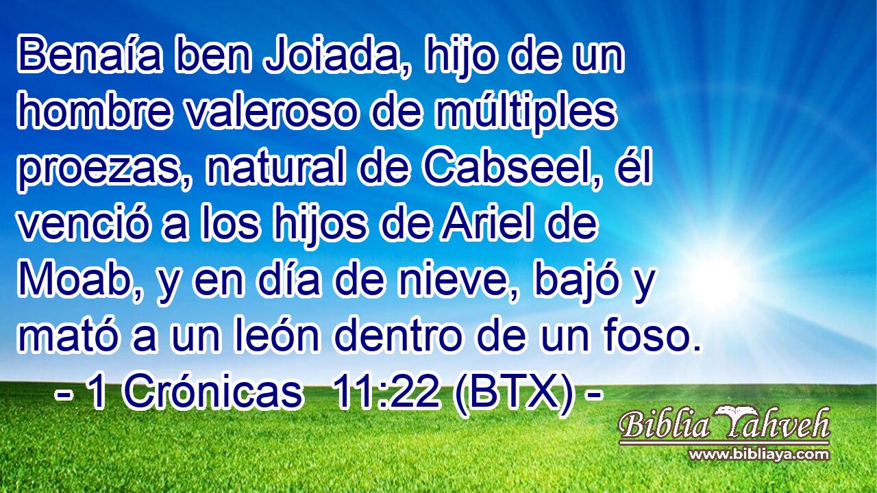 Benaía ben Joiada, hijo de un hombre valeroso de múltiples proezas, natural de Cabseel, él venció a los hijos de Ariel de Moab, y en día de nieve, bajó y mató a un león dentro de un foso.