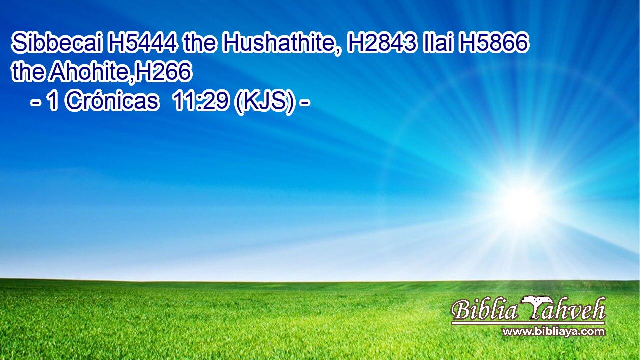 Sibbecai H5444 the Hushathite, H2843 Ilai H5866 the Ahohite,H266