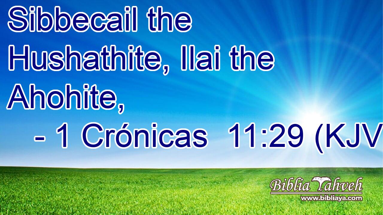 Sibbecail the Hushathite, Ilai the Ahohite,