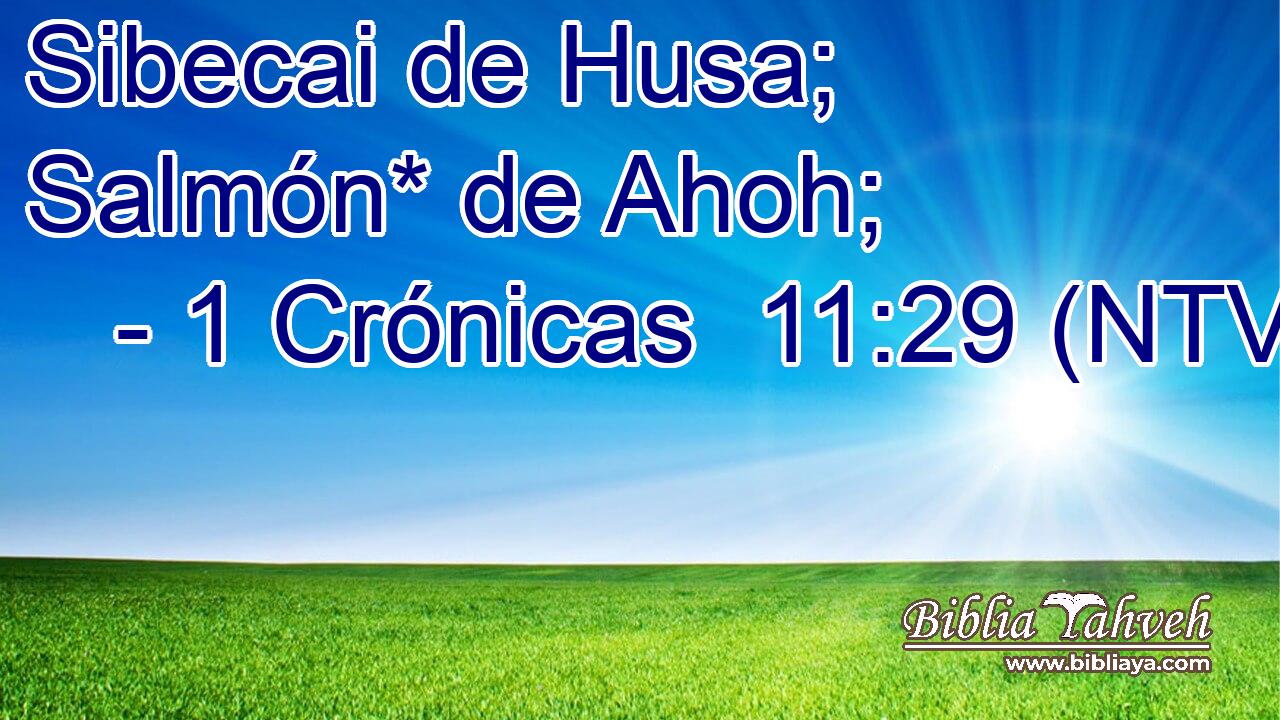 Sibecai de Husa; Salmón* de Ahoh;