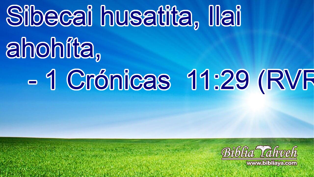 Sibecai husatita, Ilai ahohíta,