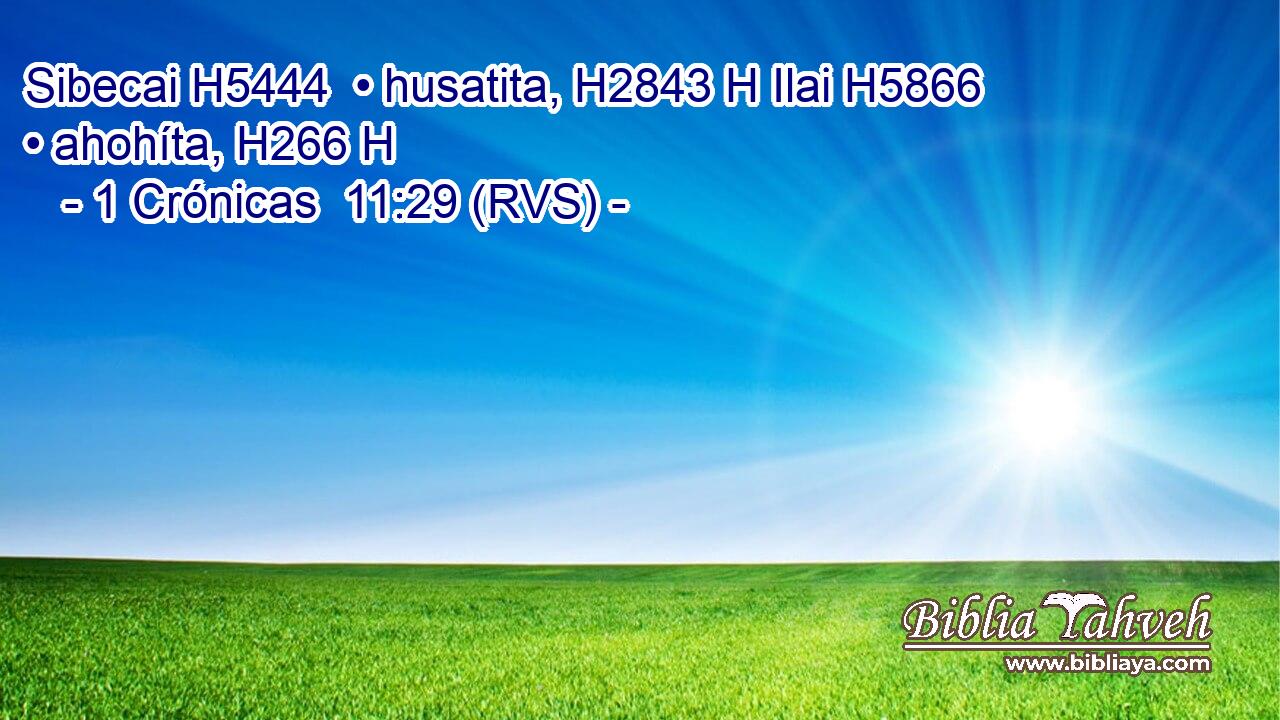 Sibecai H5444  • husatita, H2843 H Ilai H5866  • ahohíta, H266 H 