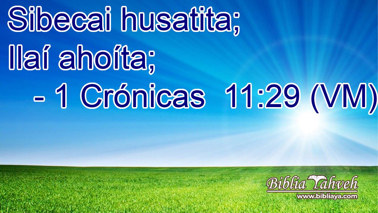  Sibecai husatita; Ilaí ahoíta; 