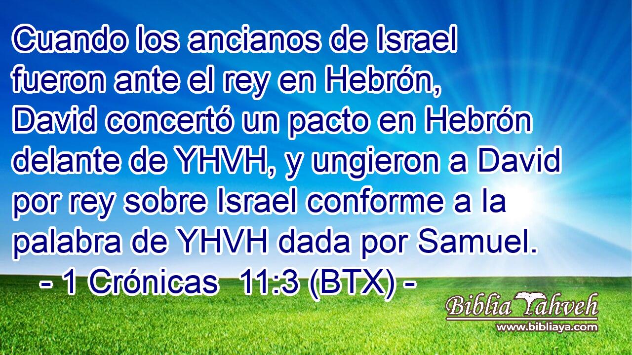 Cuando los ancianos de Israel fueron ante el rey en Hebrón, David concertó un pacto en Hebrón delante de YHVH, y ungieron a David por rey sobre Israel conforme a la palabra de YHVH dada por Samuel.