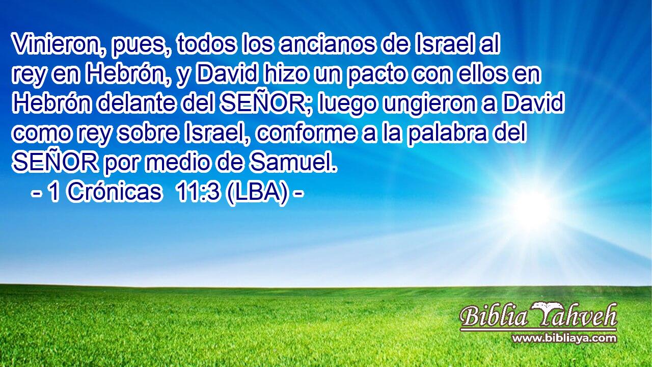 Vinieron, pues, todos los ancianos de Israel al rey en Hebrón, y David hizo un pacto con ellos en Hebrón delante del SEÑOR; luego ungieron a David como rey sobre Israel, conforme a la palabra del SEÑOR por medio de Samuel.