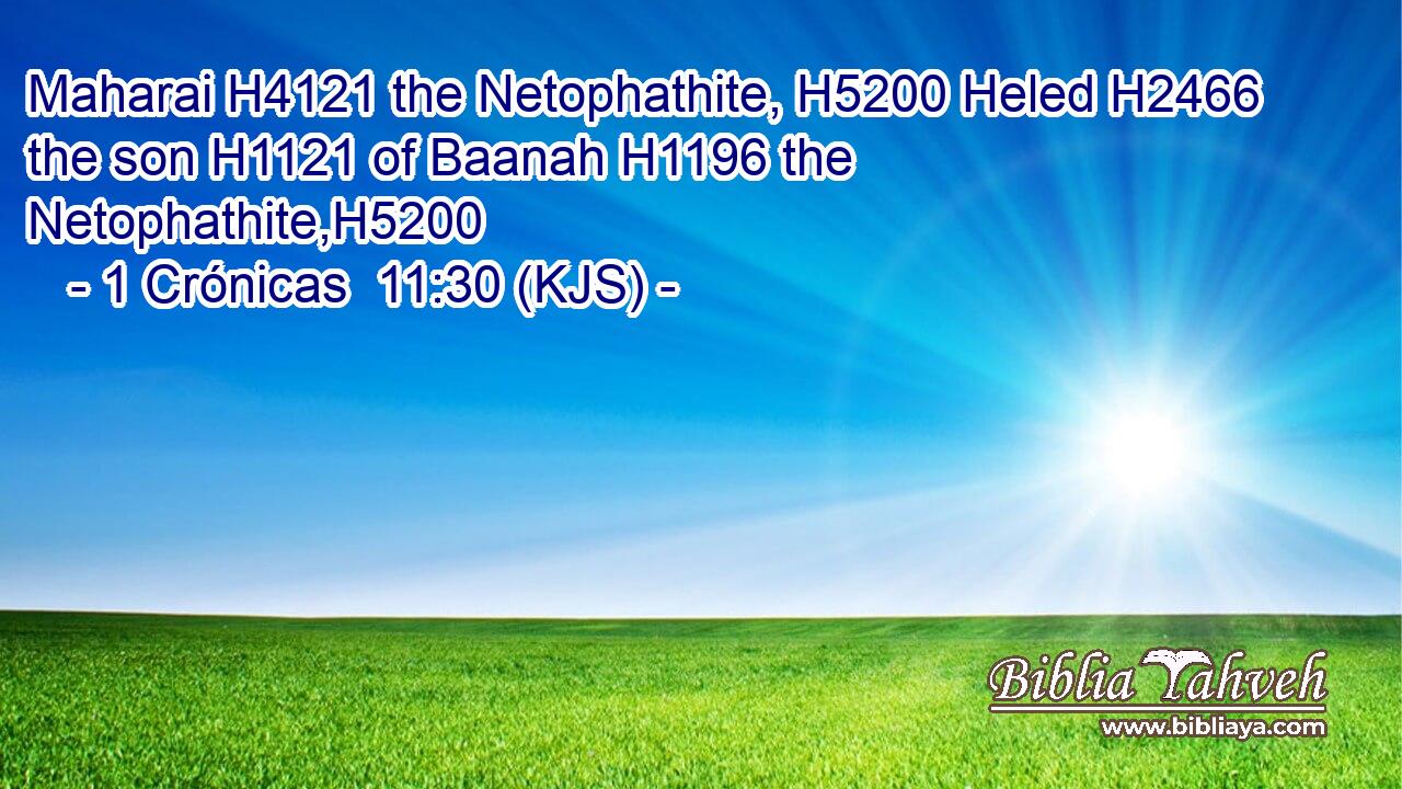 Maharai H4121 the Netophathite, H5200 Heled H2466 the son H1121 of Baanah H1196 the Netophathite,H5200