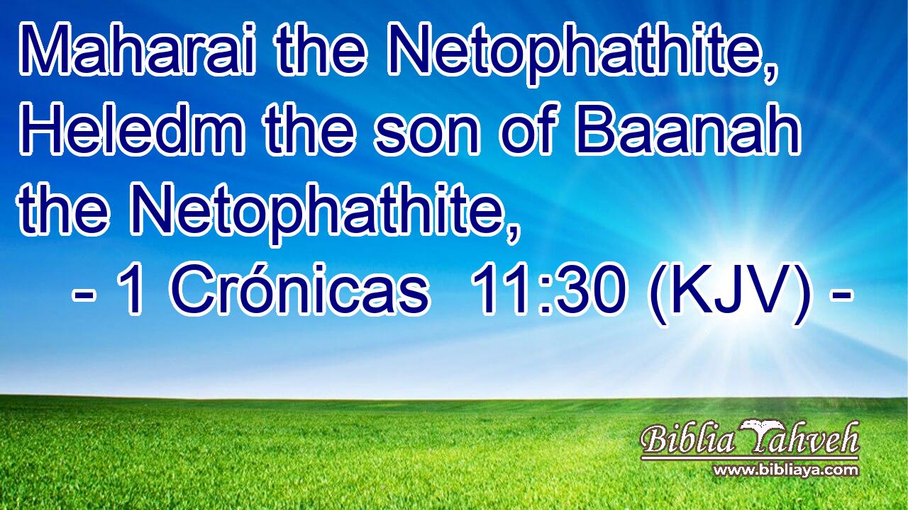 Maharai the Netophathite, Heledm the son of Baanah the Netophathite,