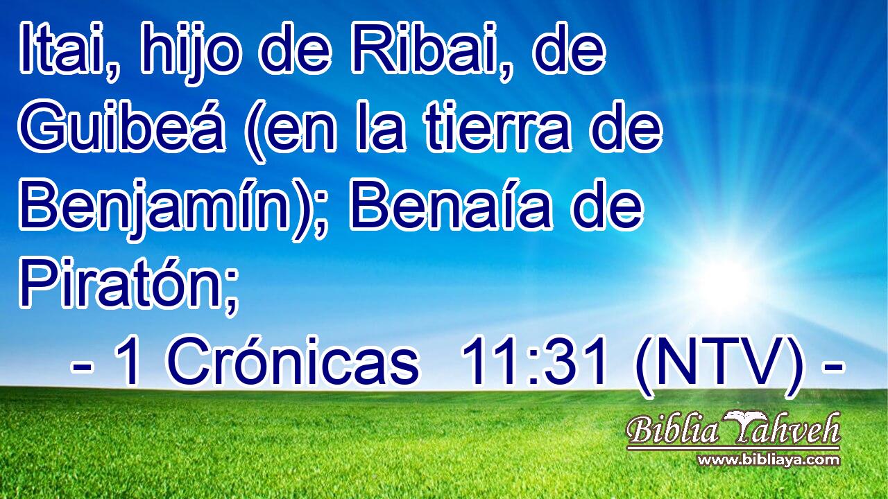 Itai, hijo de Ribai, de Guibeá (en la tierra de Benjamín); Benaía de Piratón;