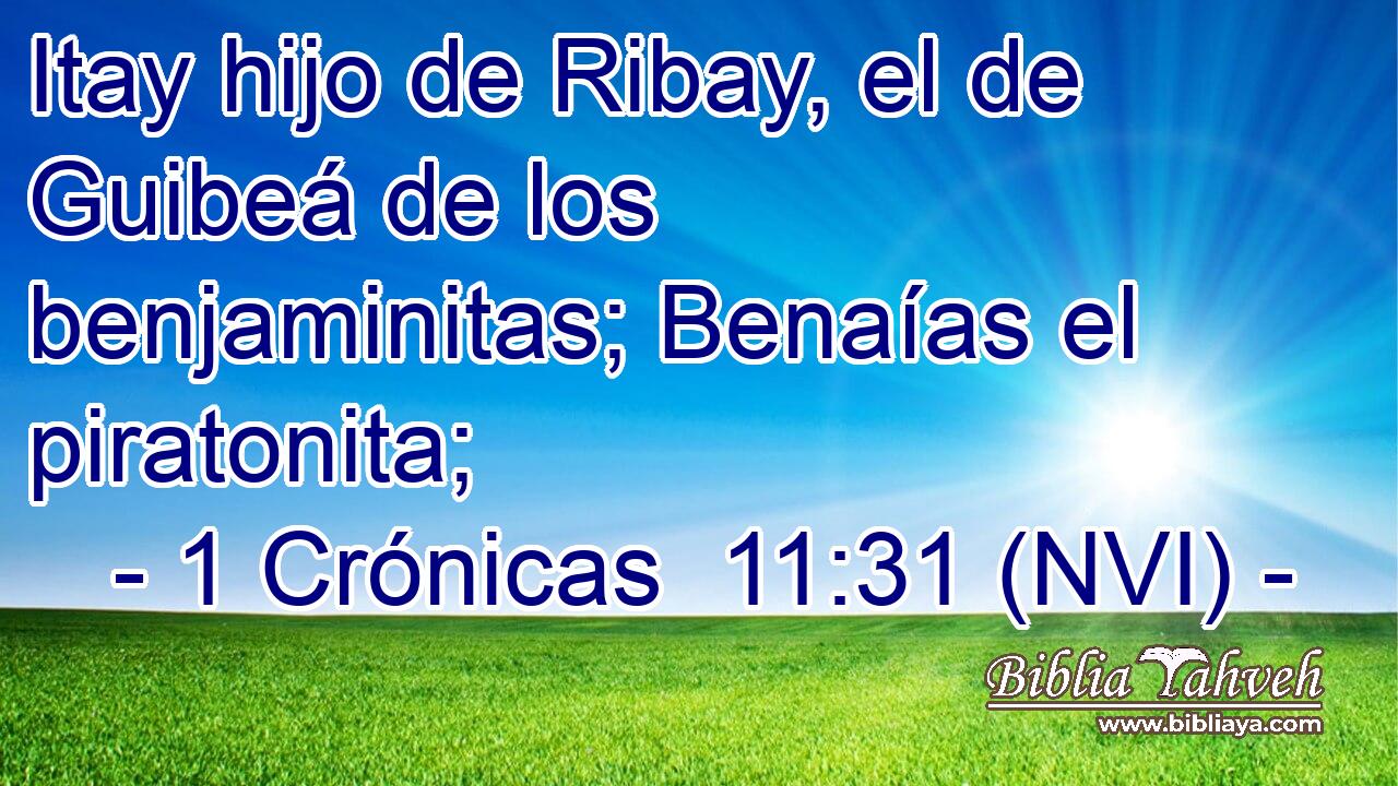  Itay hijo de Ribay, el de Guibeá de los benjaminitas; Benaías el piratonita; 