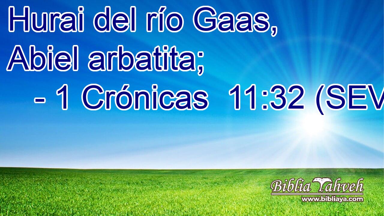 Hurai del río Gaas, Abiel arbatita;
