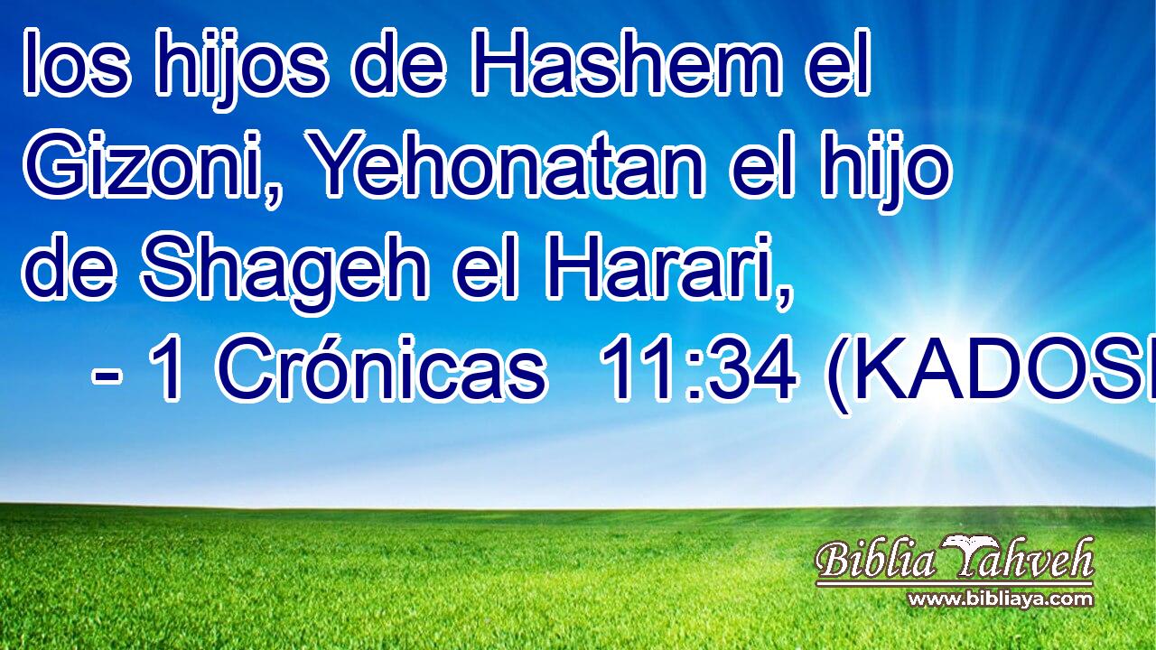 los hijos de Hashem el Gizoni, Yehonatan el hijo de Shageh el Harari, 