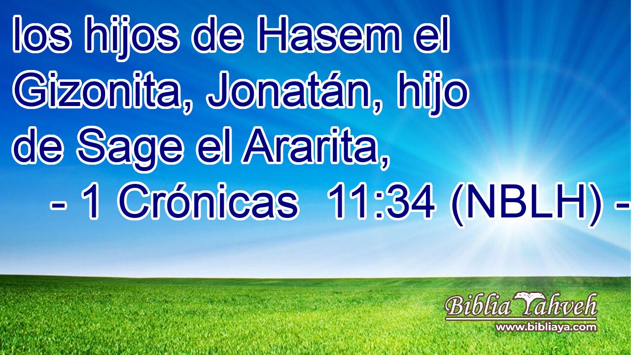  los hijos de Hasem el Gizonita, Jonatán, hijo de Sage el Ararita, 