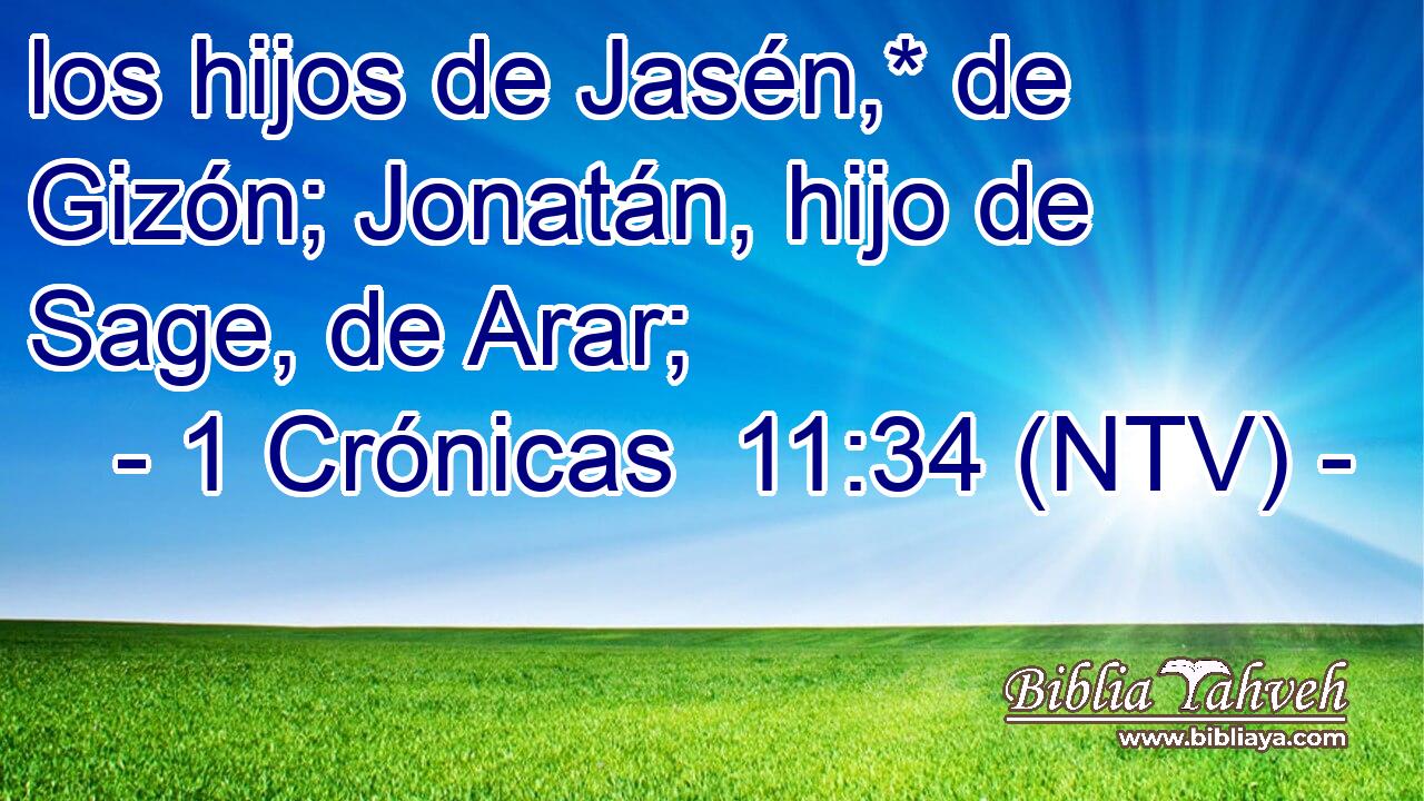 los hijos de Jasén,* de Gizón; Jonatán, hijo de Sage, de Arar;