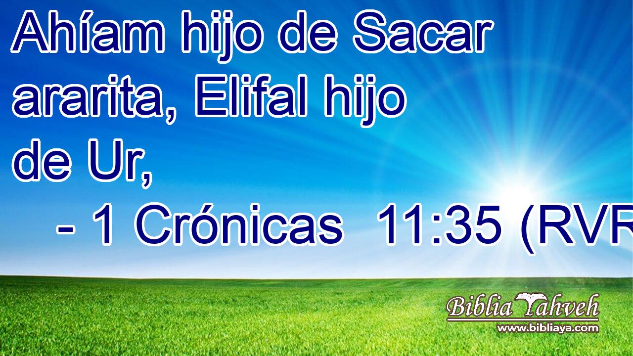 Ahíam hijo de Sacar ararita, Elifal hijo de Ur,