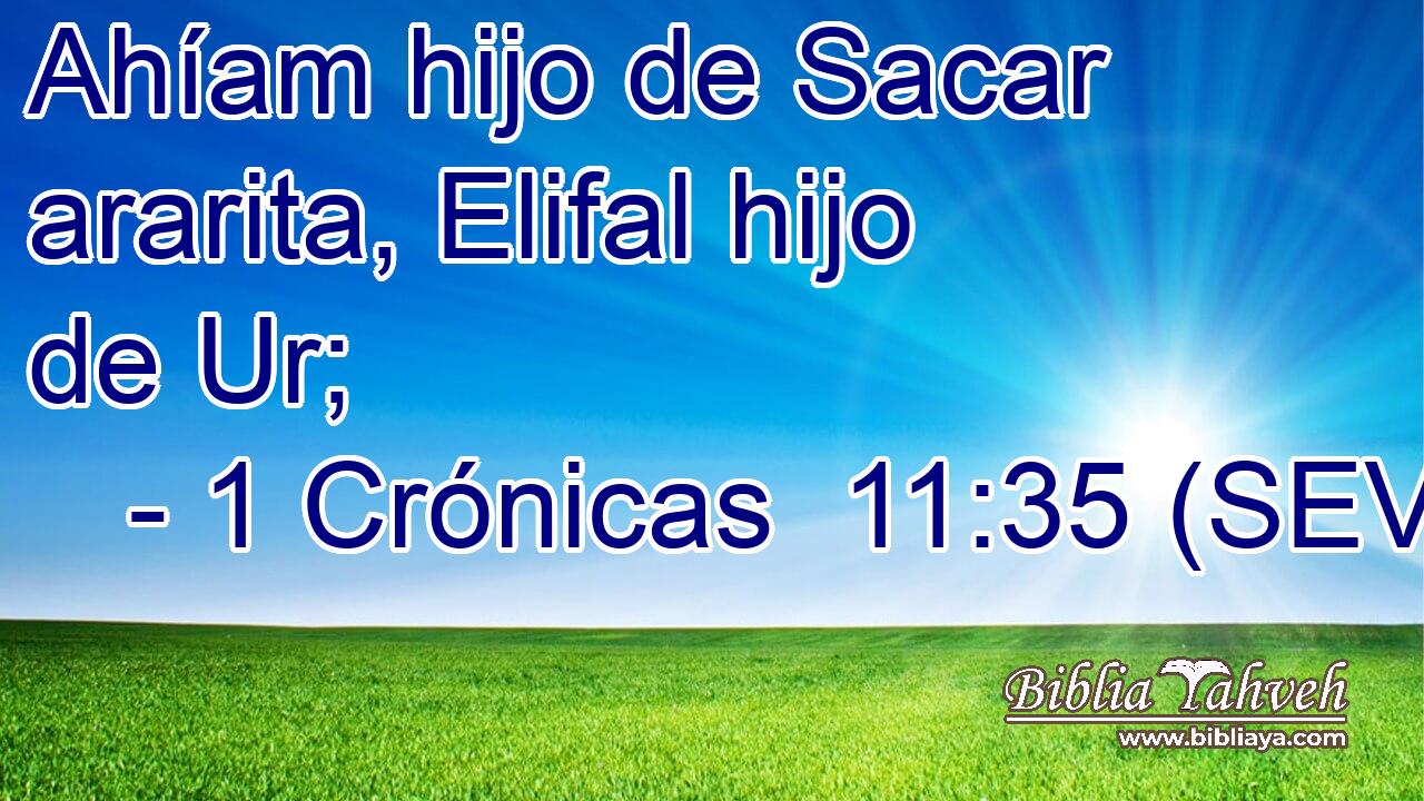 Ahíam hijo de Sacar ararita, Elifal hijo de Ur;