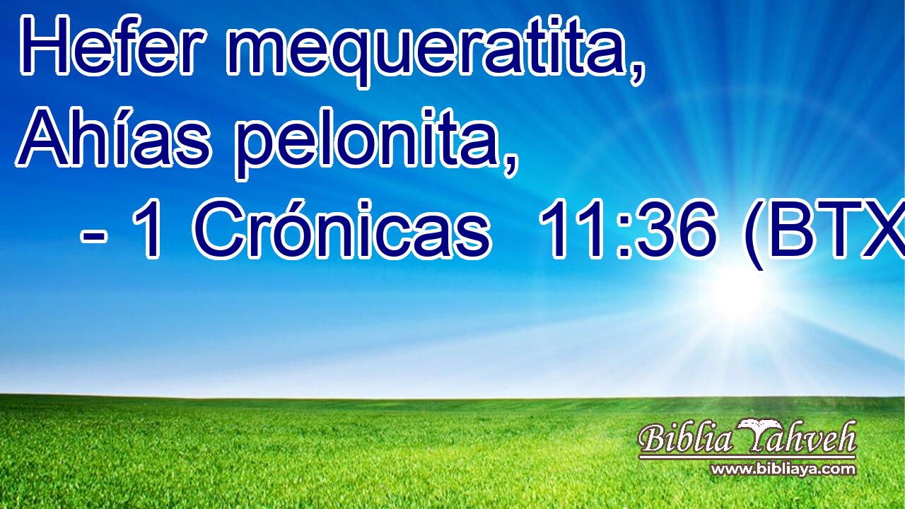 Hefer mequeratita, Ahías pelonita,