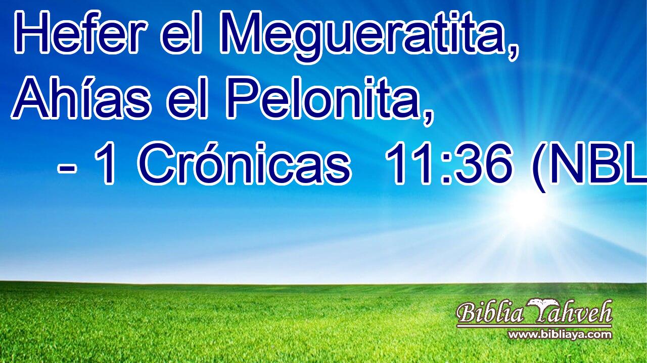  Hefer el Megueratita, Ahías el Pelonita, 