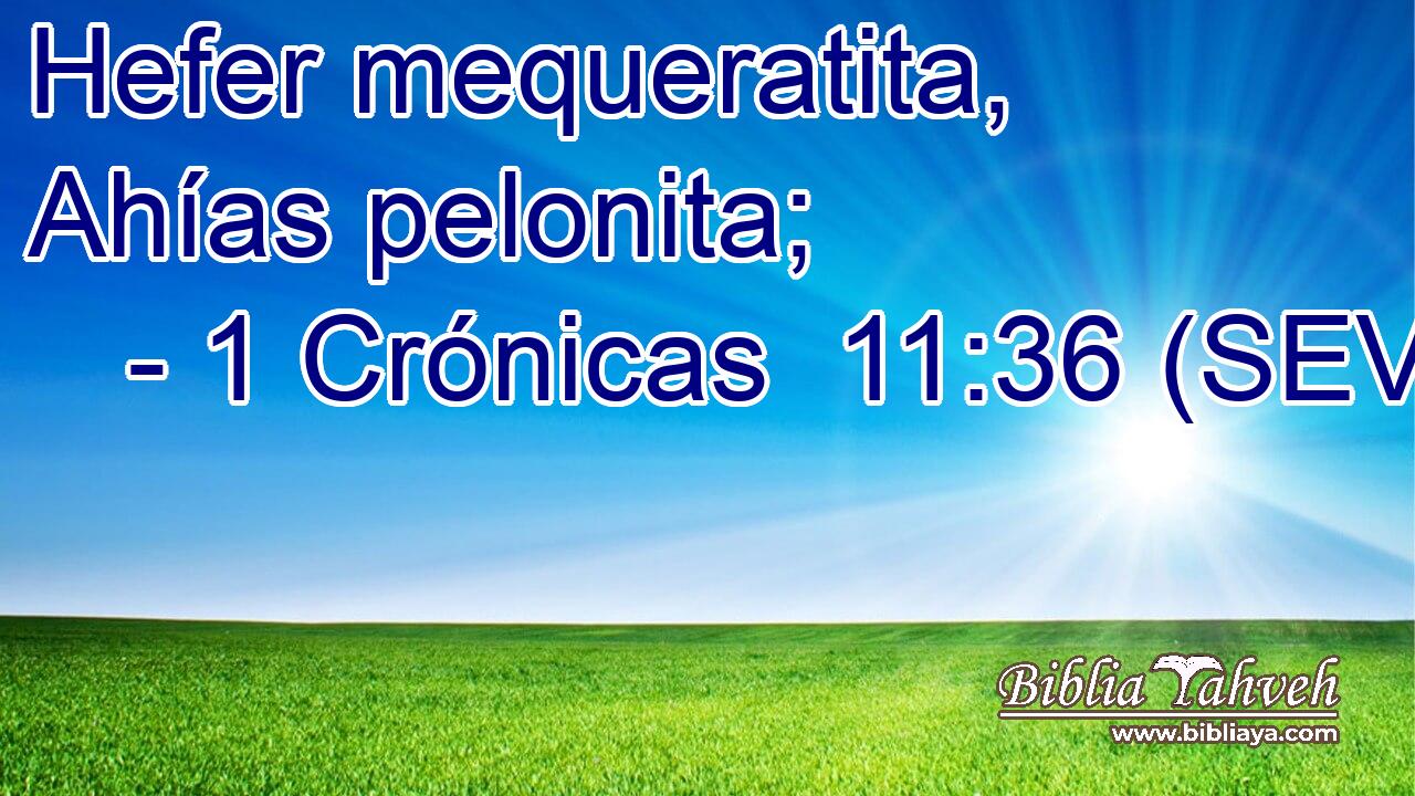 Hefer mequeratita, Ahías pelonita;