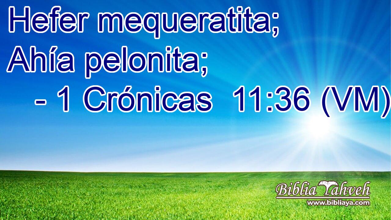  Hefer mequeratita; Ahía pelonita; 