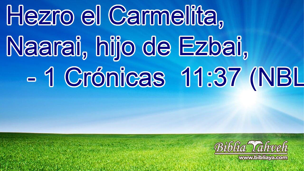  Hezro el Carmelita, Naarai, hijo de Ezbai, 