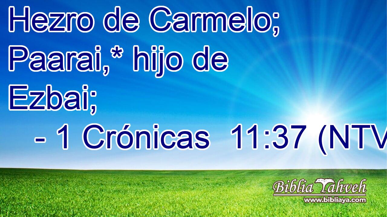 Hezro de Carmelo; Paarai,* hijo de Ezbai;