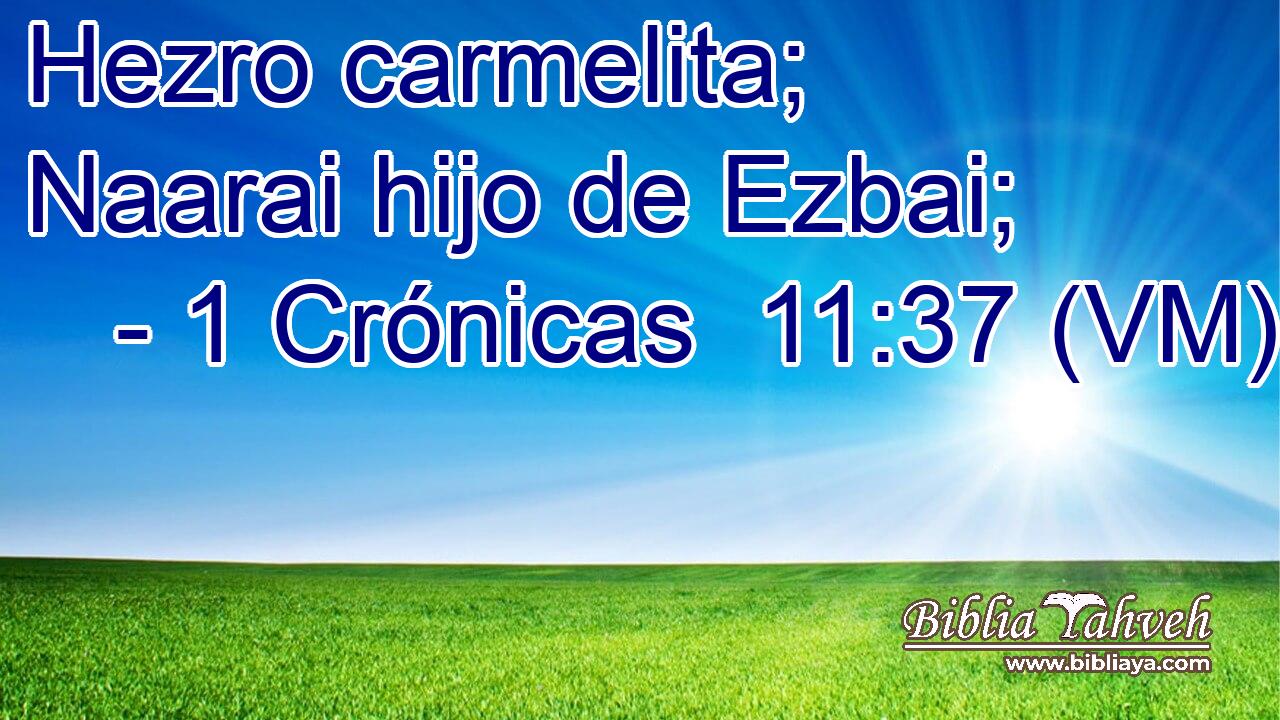  Hezro carmelita; Naarai hijo de Ezbai; 