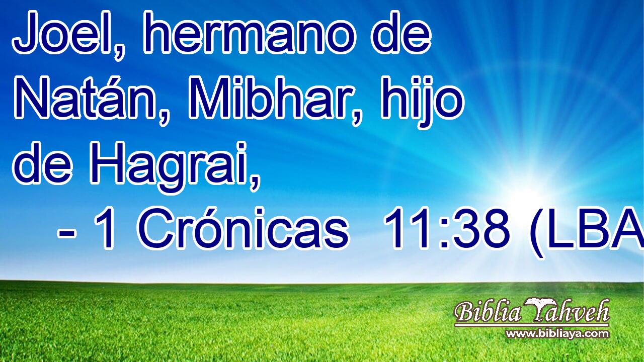 Joel, hermano de Natán, Mibhar, hijo de Hagrai,