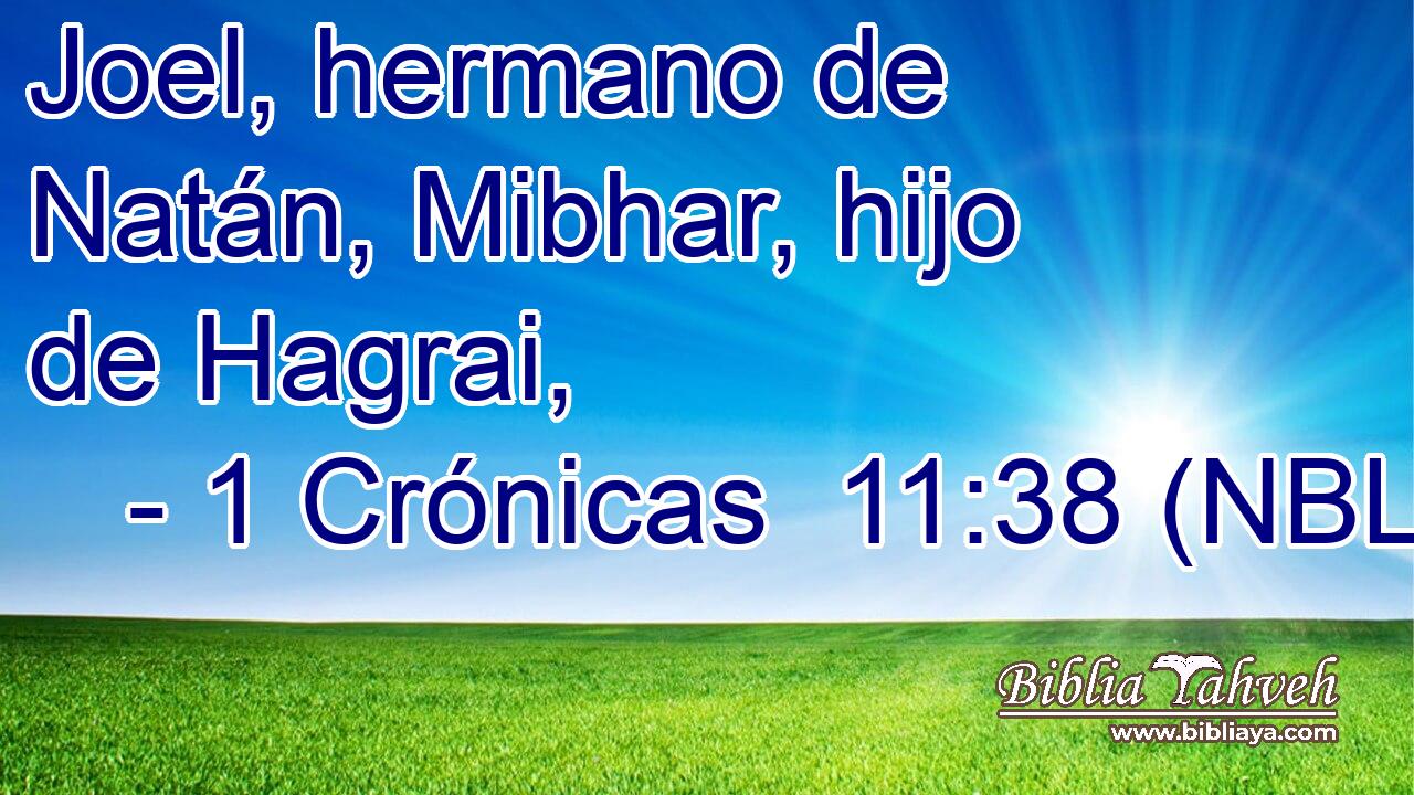  Joel, hermano de Natán, Mibhar, hijo de Hagrai, 