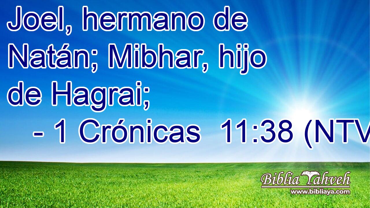 Joel, hermano de Natán; Mibhar, hijo de Hagrai;