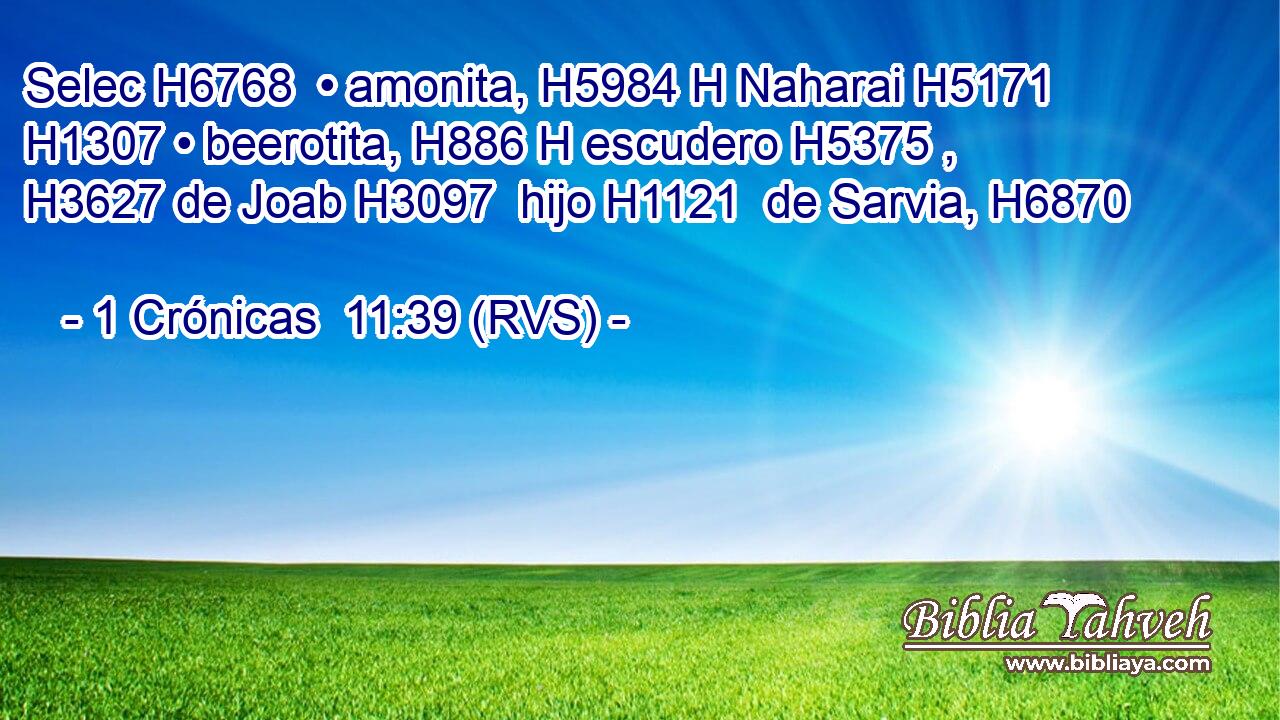 Selec H6768  • amonita, H5984 H Naharai H5171  H1307 • beerotita, H886 H escudero H5375 ,  H3627 de Joab H3097  hijo H1121  de Sarvia, H6870  