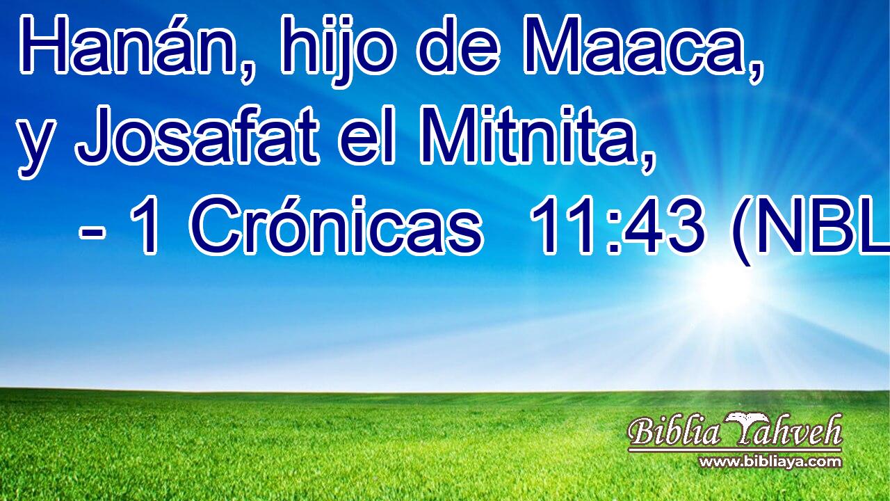  Hanán, hijo de Maaca, y Josafat el Mitnita, 