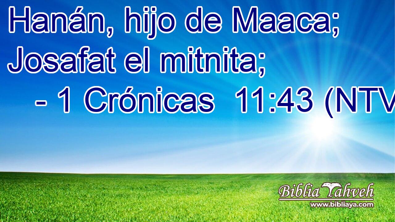 Hanán, hijo de Maaca; Josafat el mitnita;