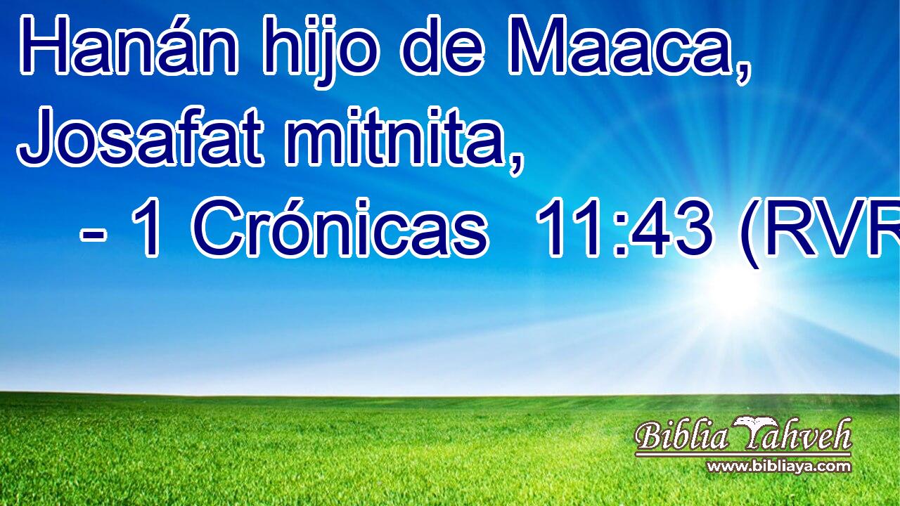 Hanán hijo de Maaca, Josafat mitnita,