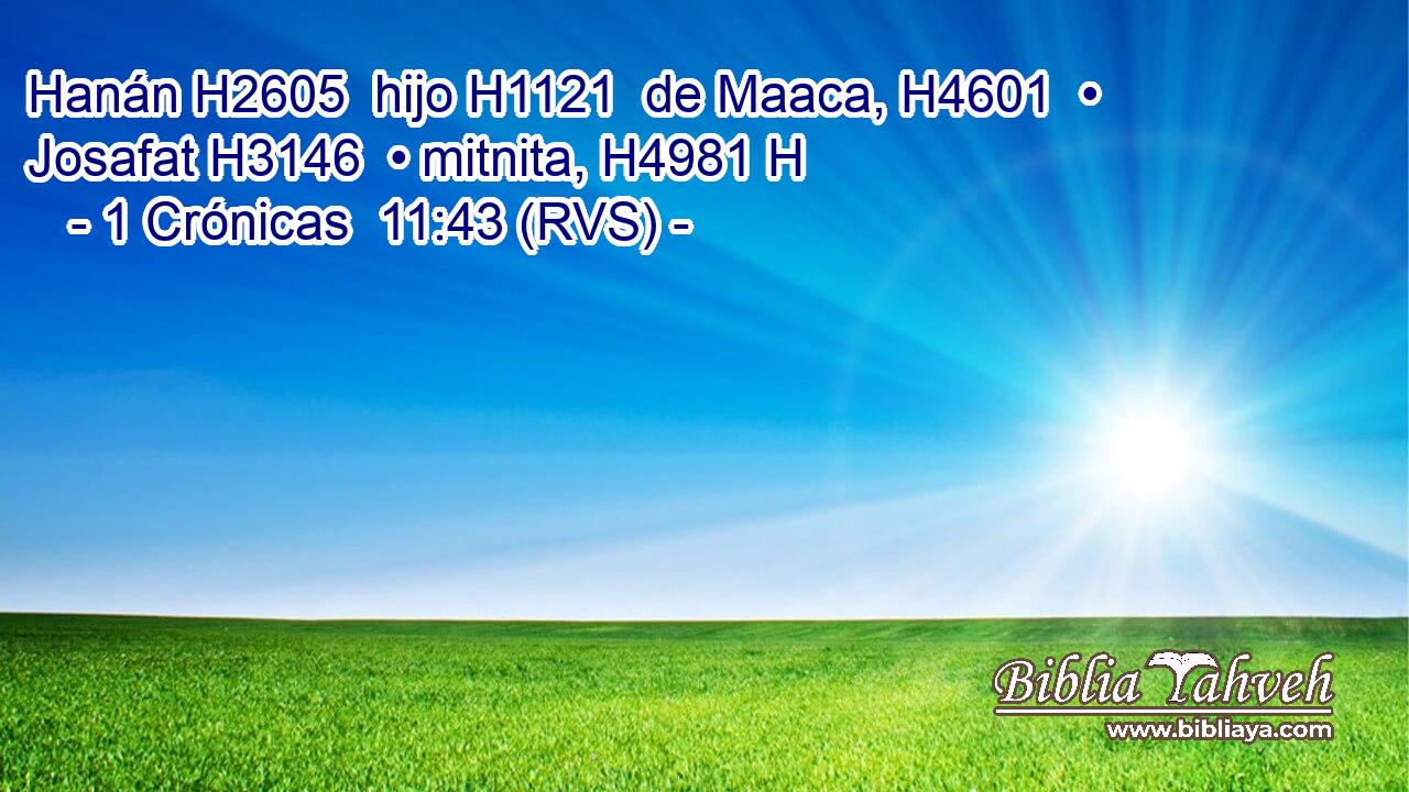 Hanán H2605  hijo H1121  de Maaca, H4601  • Josafat H3146  • mitnita, H4981 H 