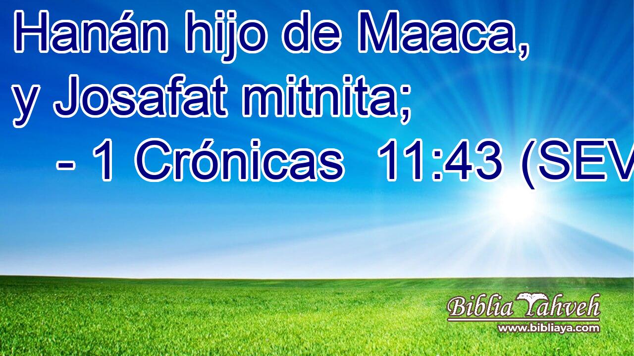 Hanán hijo de Maaca, y Josafat mitnita;