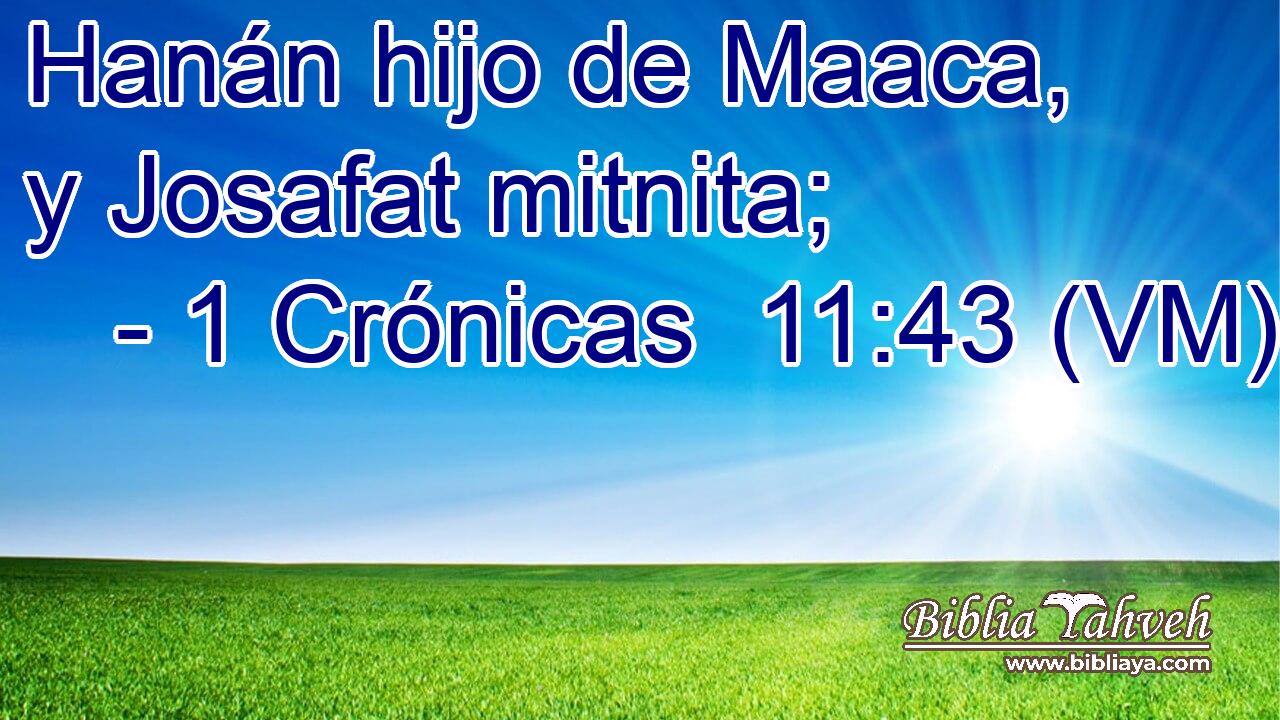  Hanán hijo de Maaca, y Josafat mitnita; 