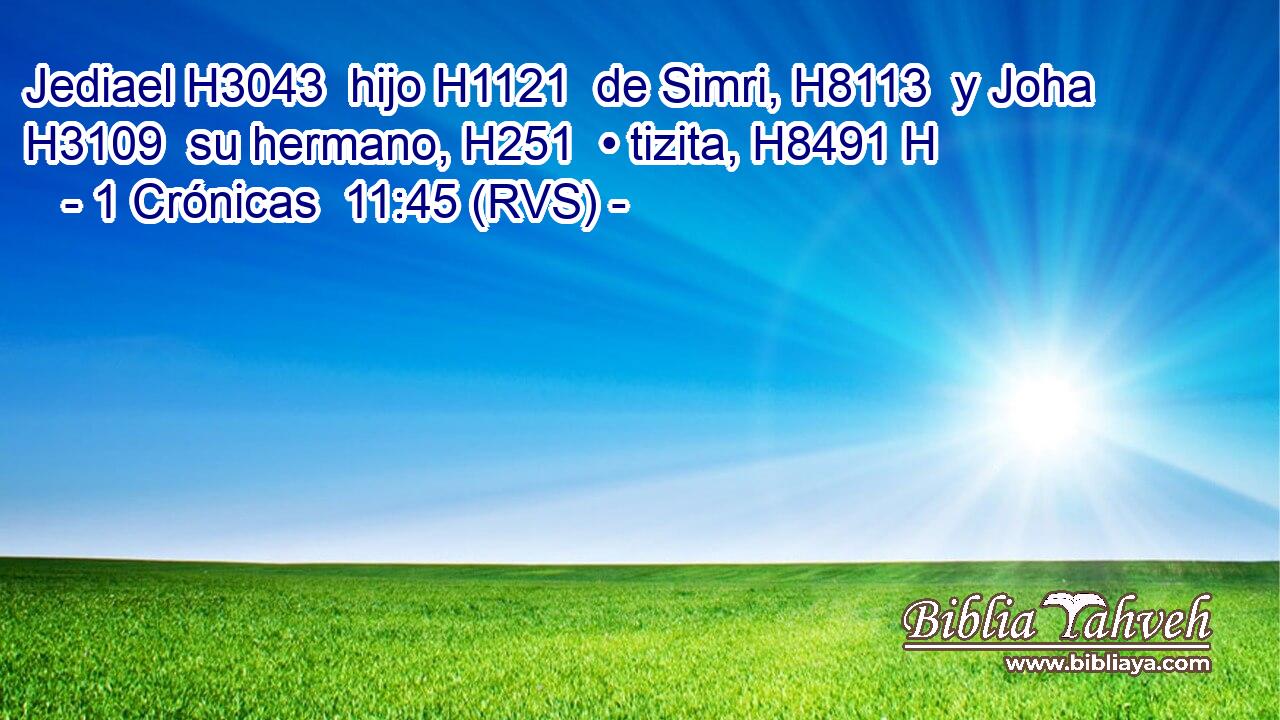 Jediael H3043  hijo H1121  de Simri, H8113  y Joha H3109  su hermano, H251  • tizita, H8491 H 